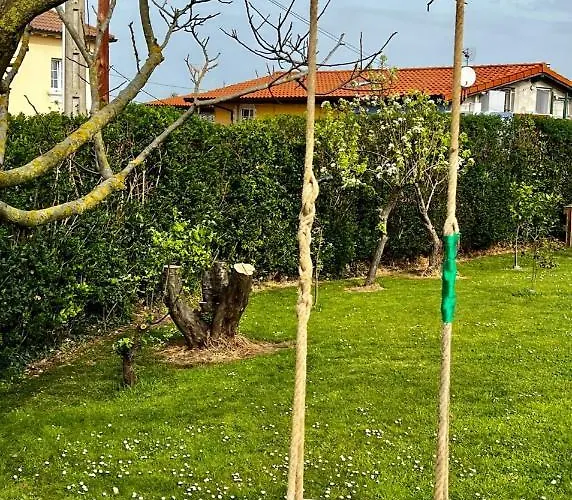 度假居 Robustiana 桑坦德